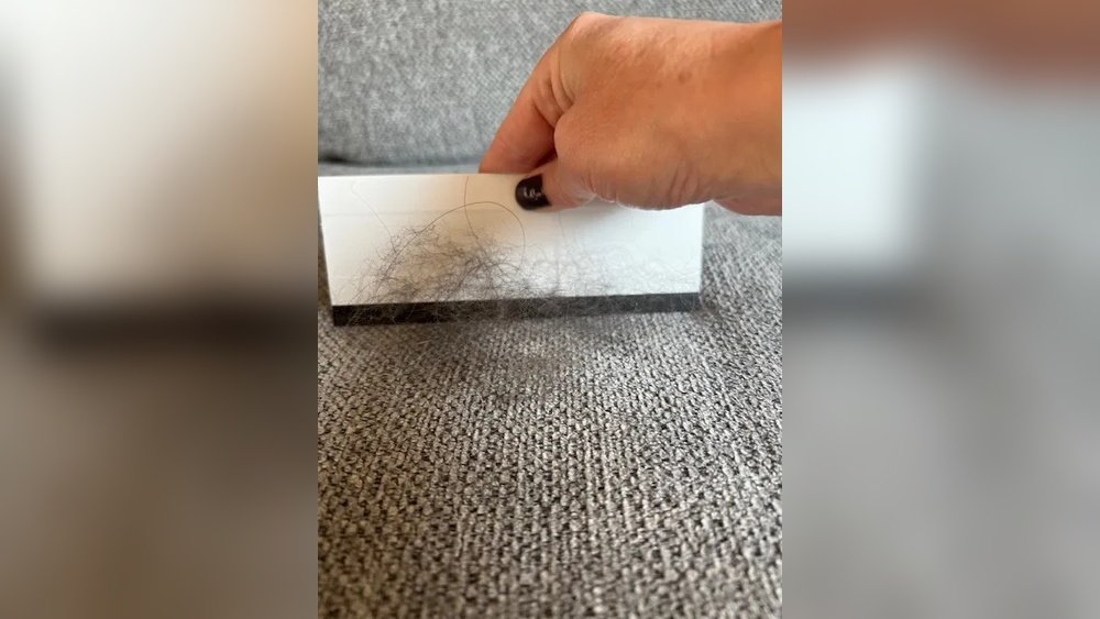 How to Get Dog Hair off a Couch