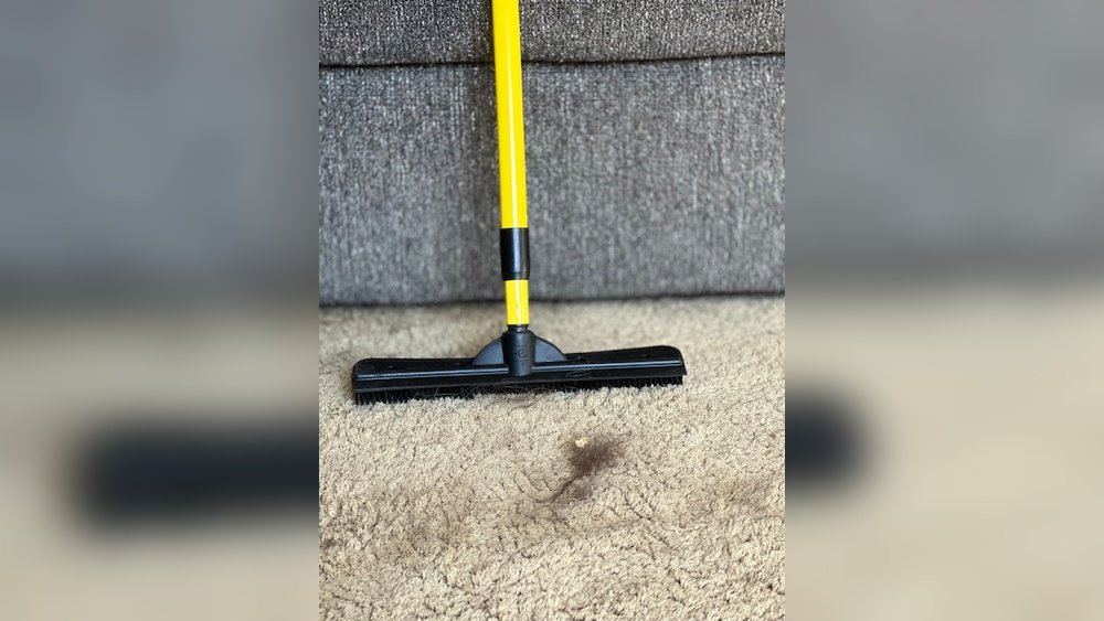 How to Get Dog Hair Out of a Rug