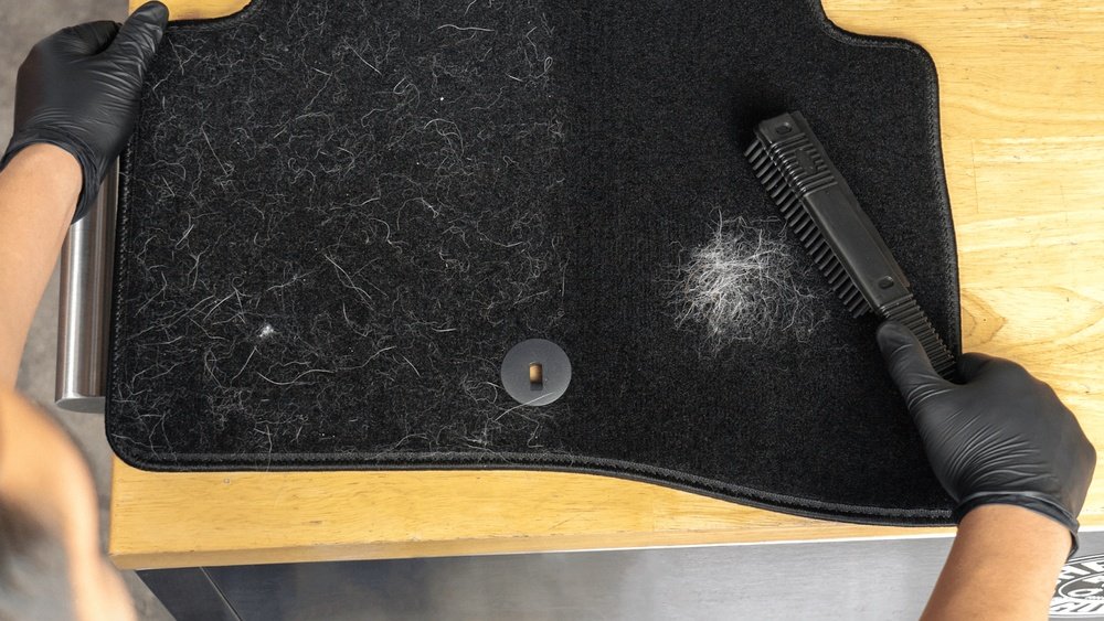 How to Get Dog Hair Out of Carpet