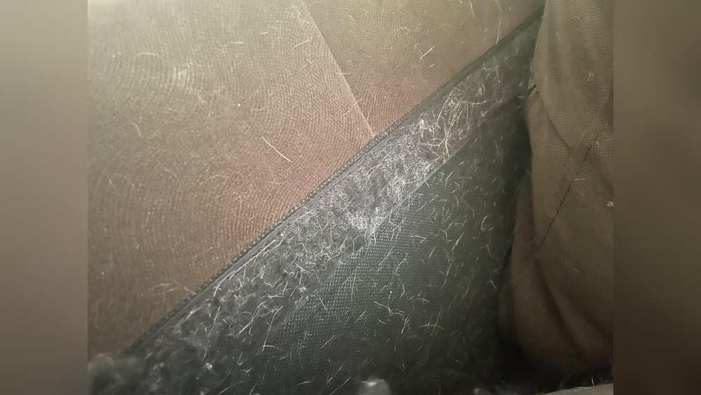 How to Get Dog Hair Out of Velcro