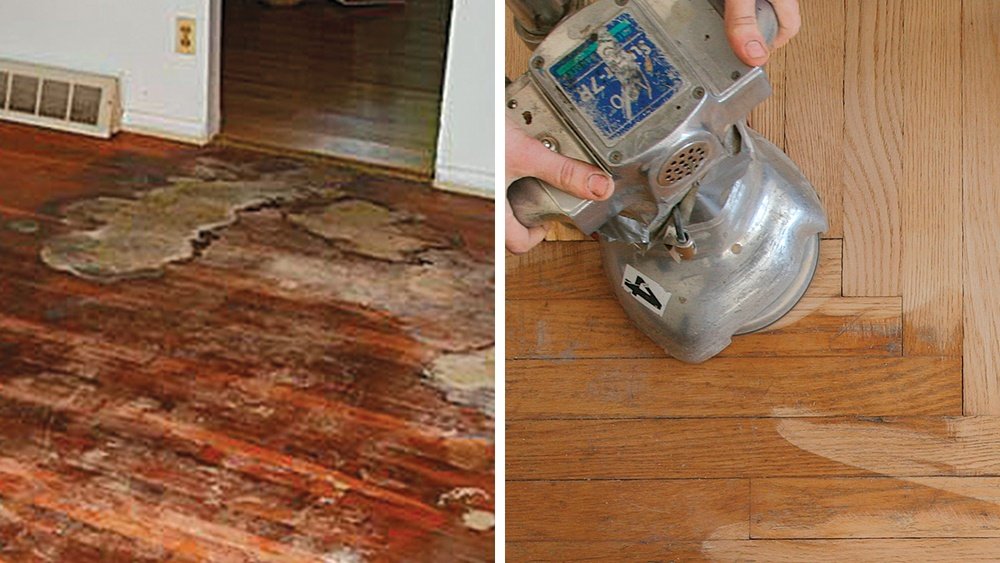 How to Get Dog Pee Smell Out of Wood Floor