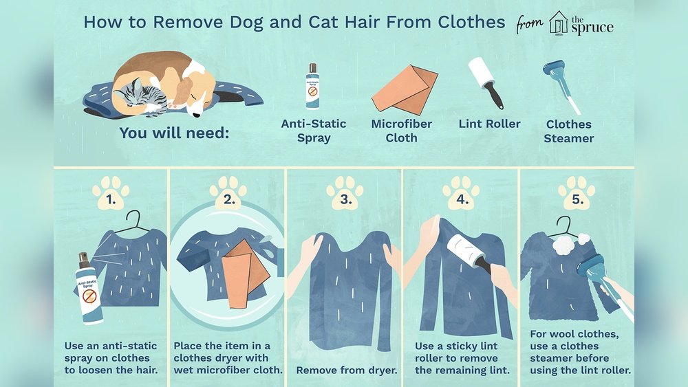 How to Get Rid of Cat Hair in the Air