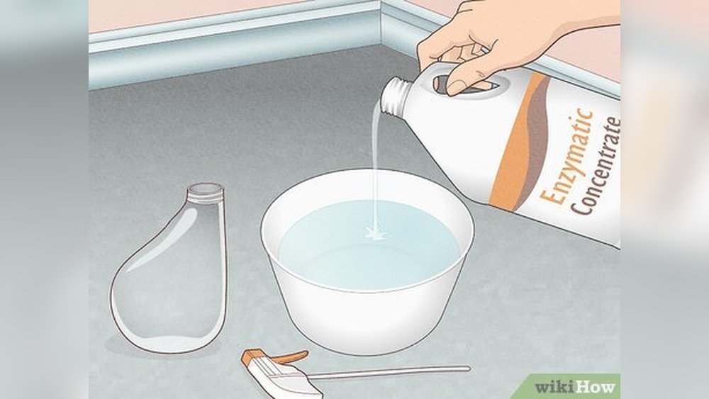 How to Get Rid of Cat Pee Smell on Concrete