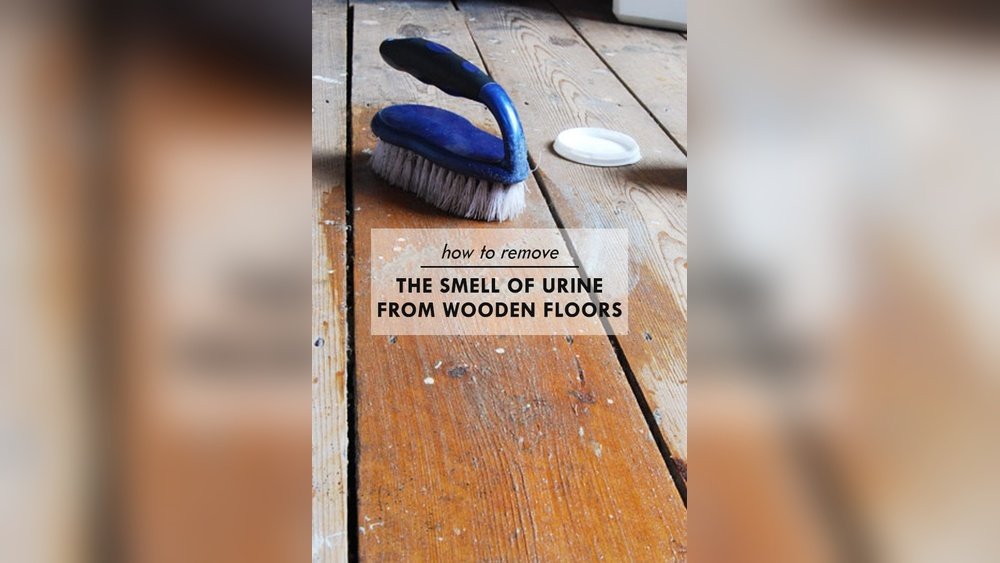 How to Get Rid of Dog Pee Smell on Wood