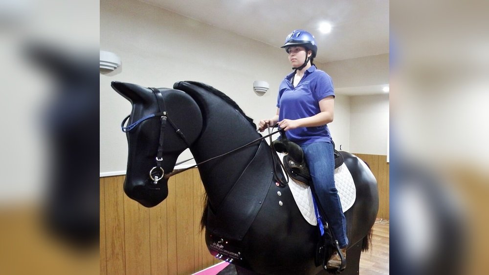 How to Help a Fretful Horse