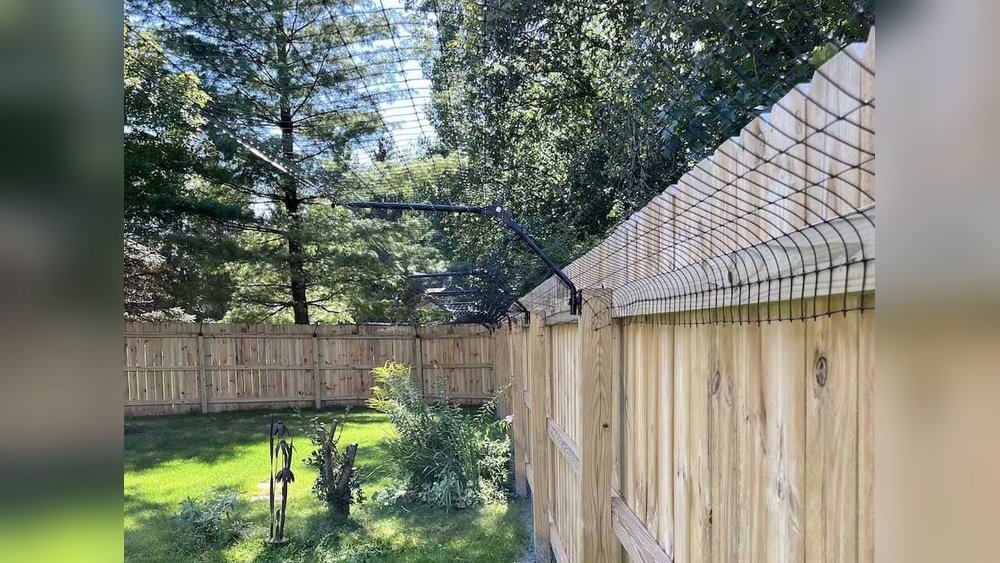 How to Keep a Cat from Jumping the Fence