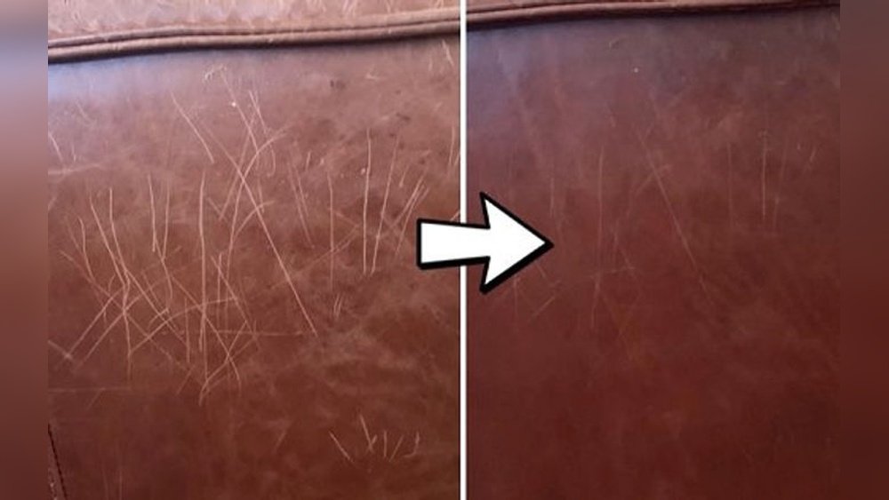 How to Keep a Cat from Scratching Leather Couch