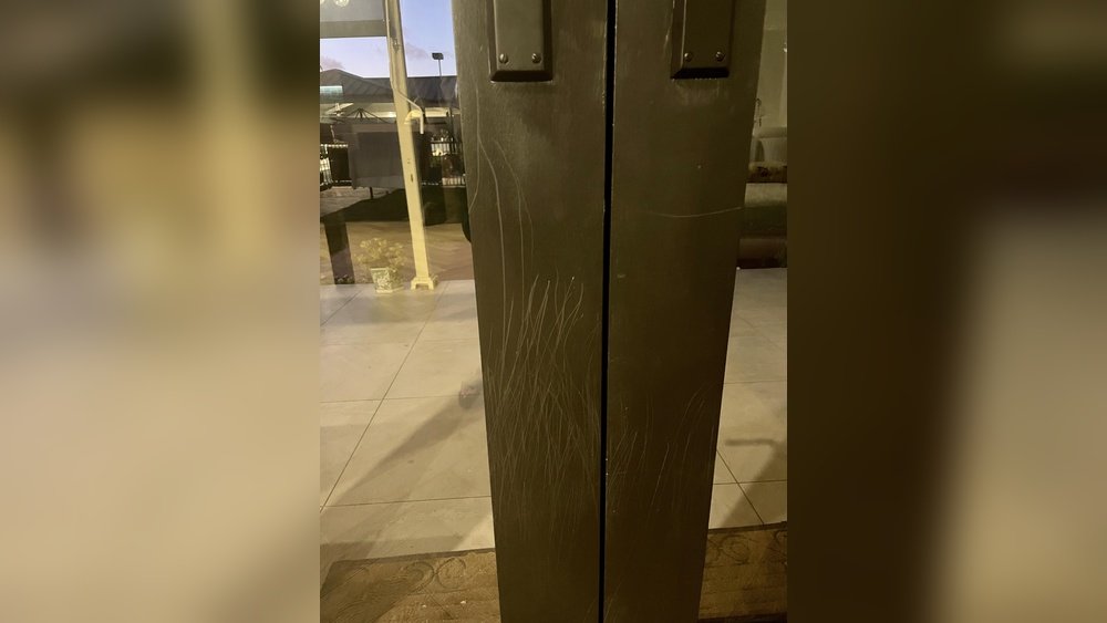 How to Keep a Dog from Scratching a Door