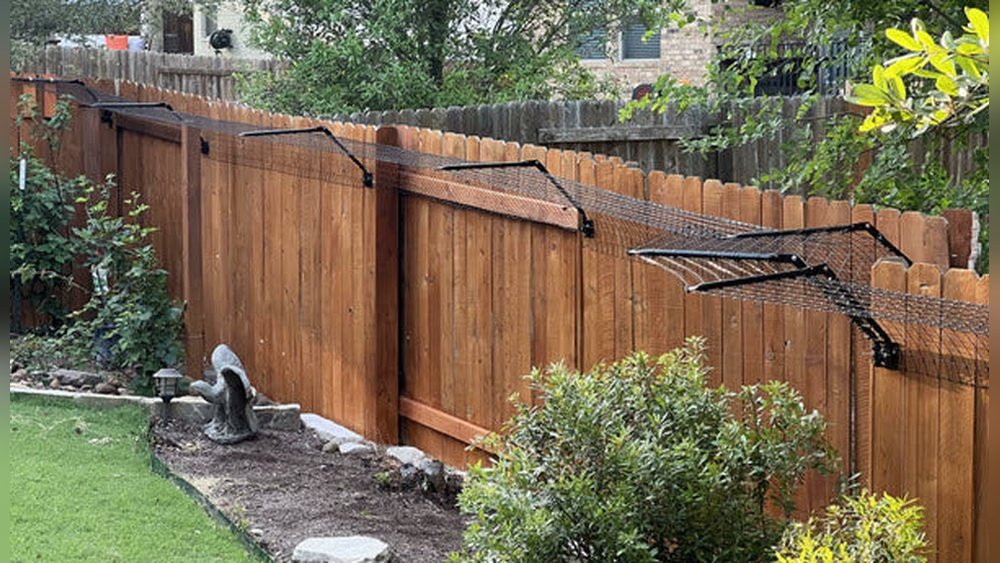 How to Keep Cat in Yard