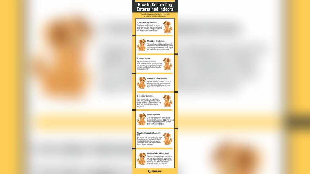 How to Keep Dog from Being Bored When Home Alone