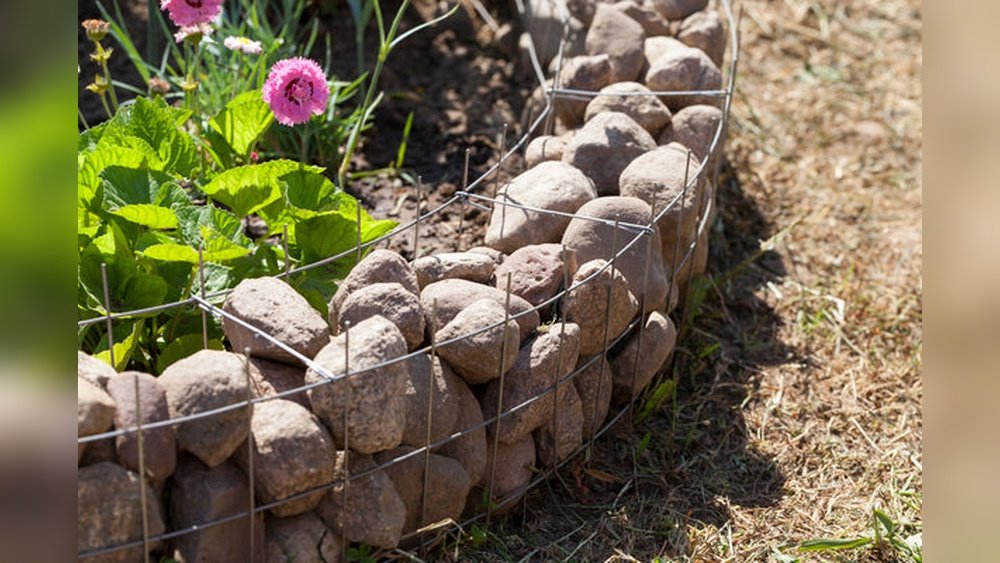 How to Keep Dog Out of Flower Bed