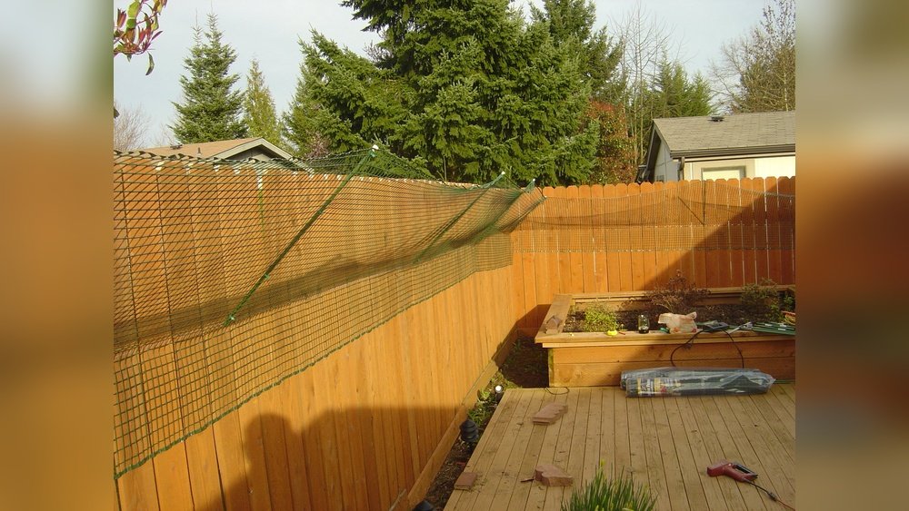 How to Keep My Cat in the Yard