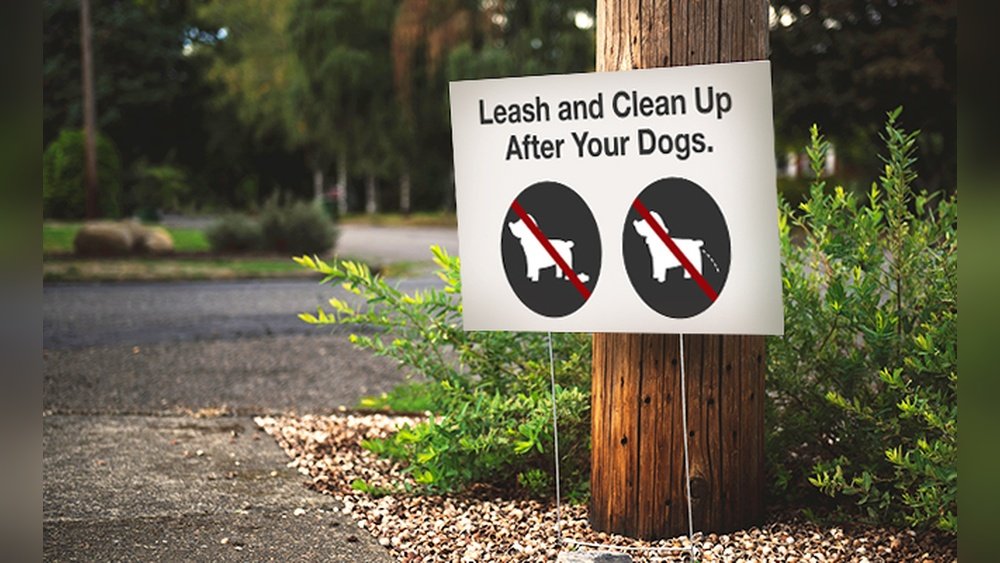 How to Keep My Neighbors Dog Out of My Yard