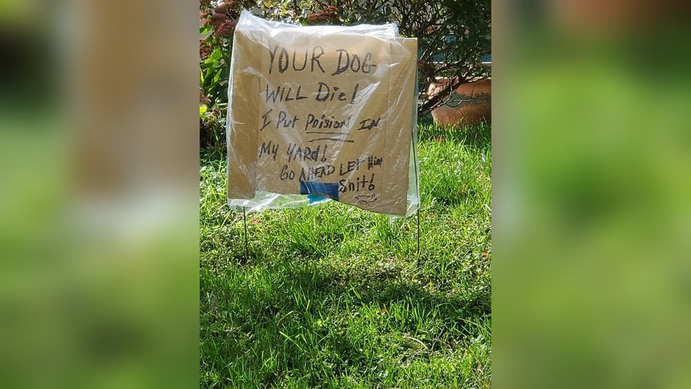 How to Keep Neighbors Dog Out of My Yard