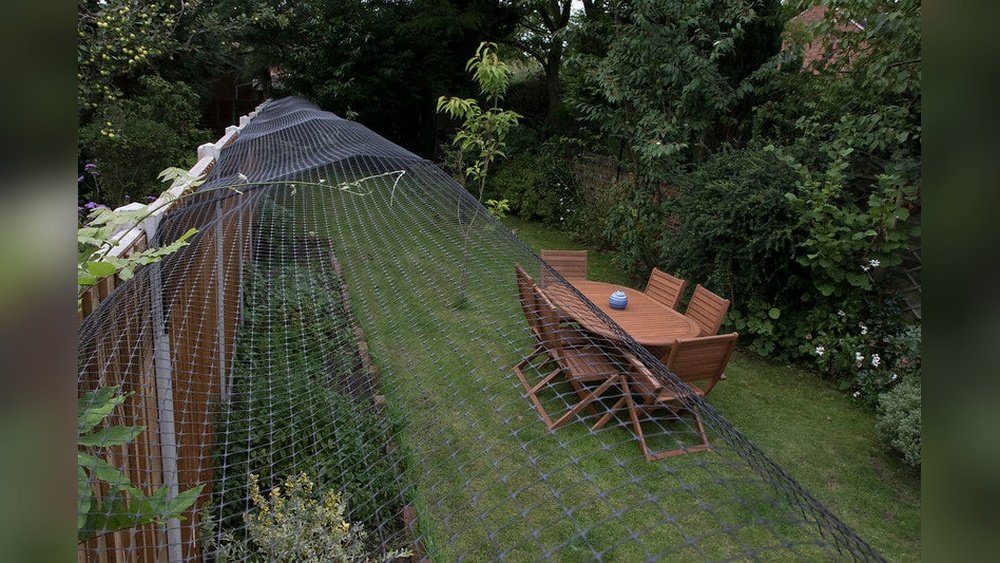 How to Keep Your Cat in Your Yard