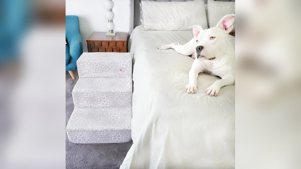 How to Keep Your Dog off the Bed
