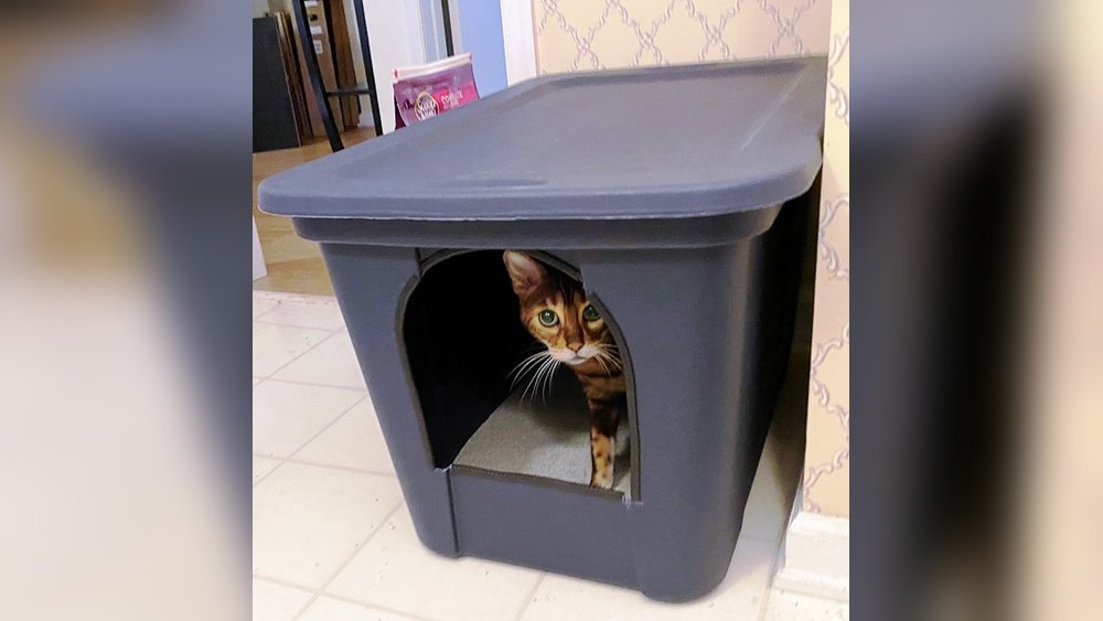 How to Make a Cat Litter Box