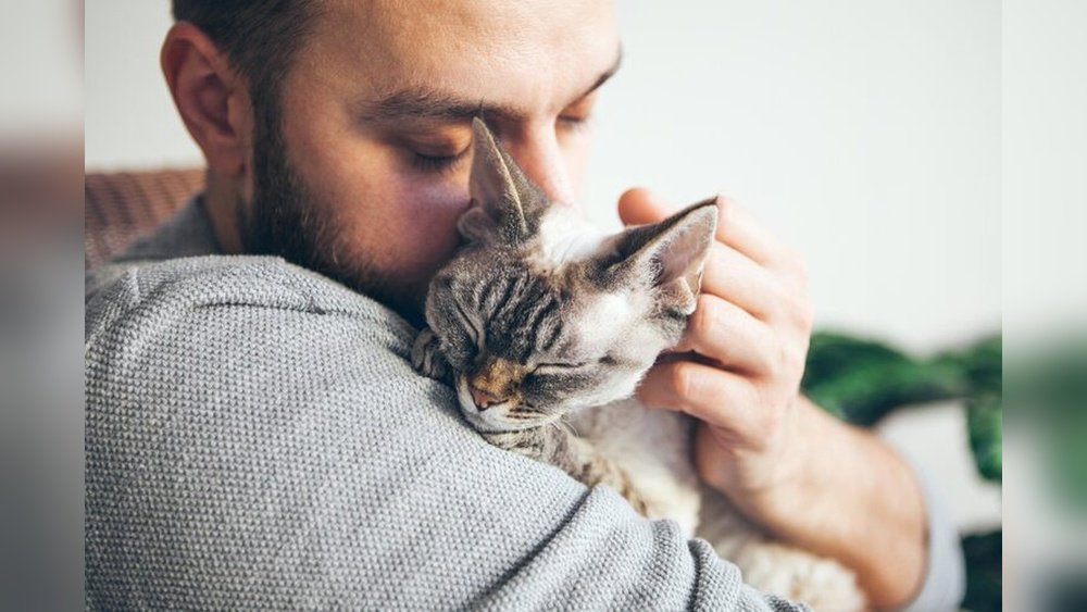 How to Make Your Cat Smell Better