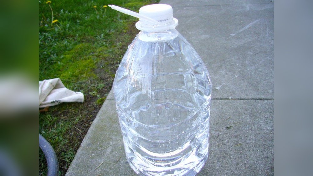 How to Prevent Dog from Pooping in Yard