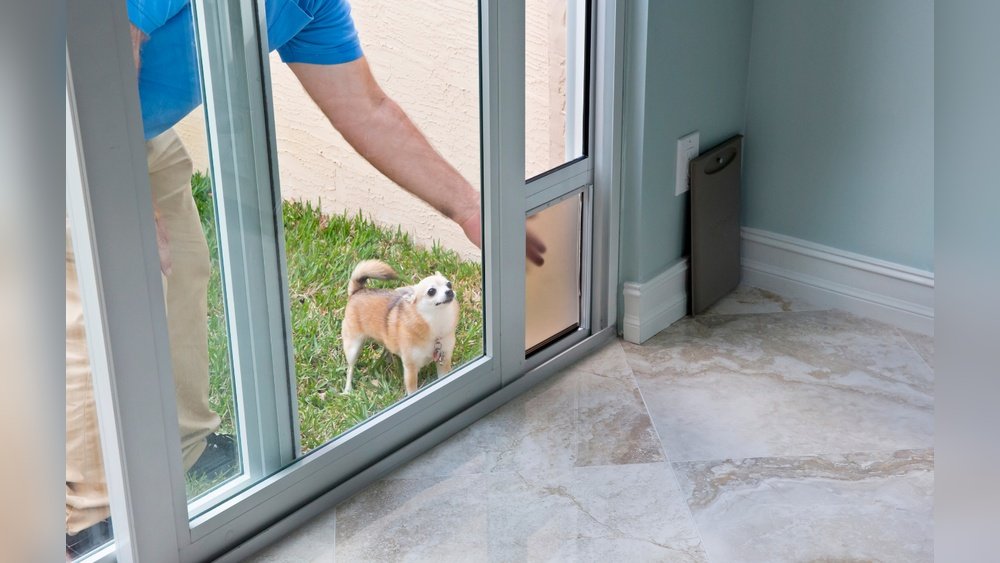 How to Put Dog Door in Glass
