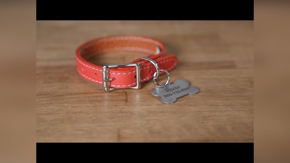 How to Put on Dog Tag on Collar