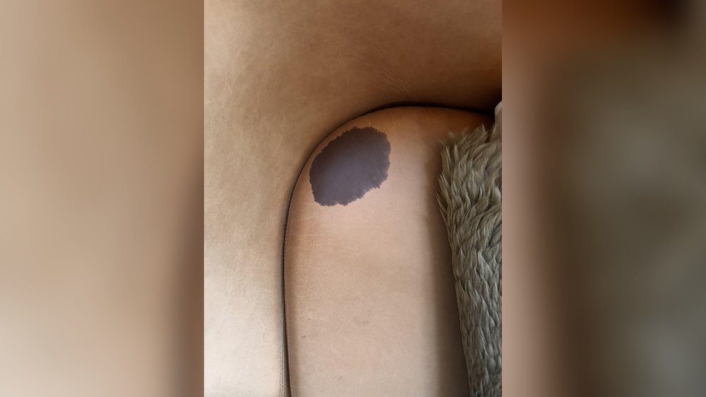 How to Remove Cat Urine Smell from Leather Chair