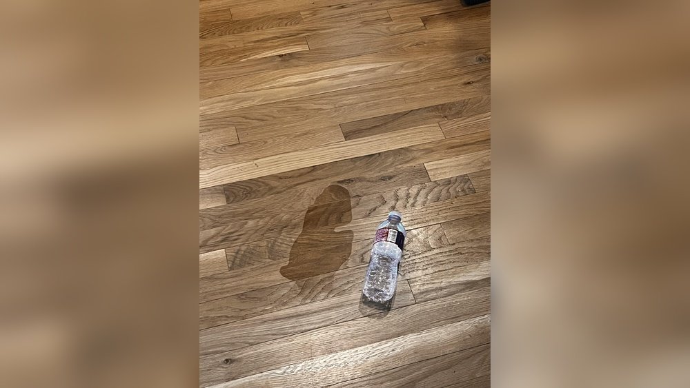 How to Remove Dog Urine Smell from Hardwood Floors