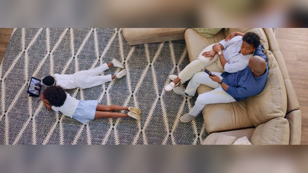 How to Rermove Dog Urine Stains from Wool Rug