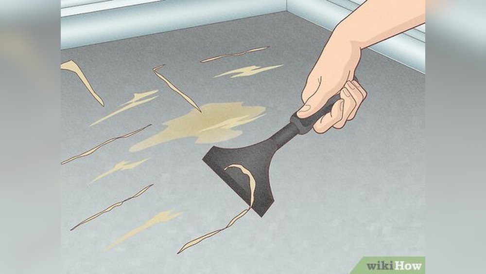 How to Rid Cat Urine Smell from Concrete