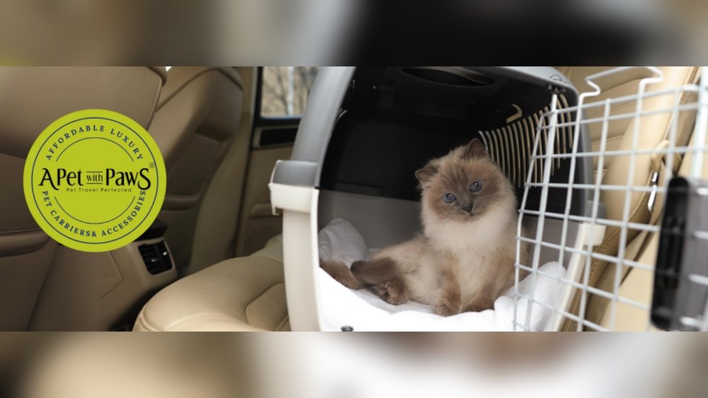How to Sanitize Cat Carrier
