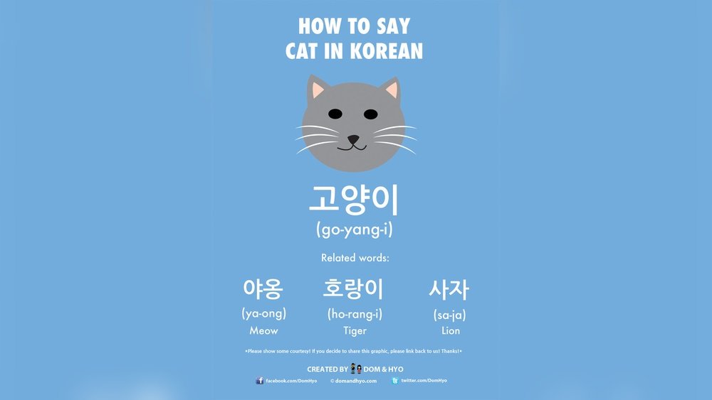 How to Say Cat in Korean