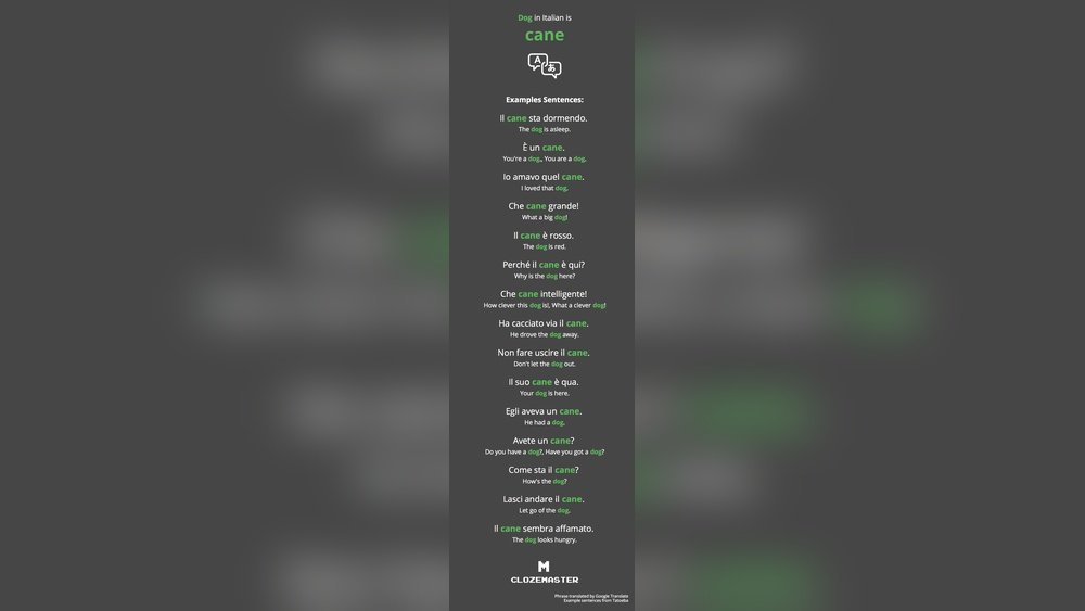 How to Say Dog in Italian