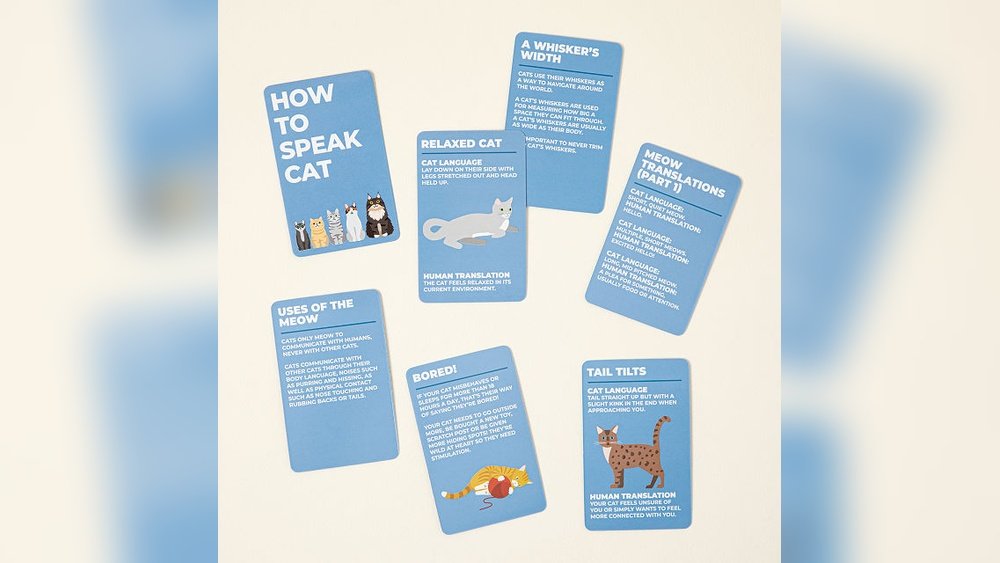 How to Speak Cat Cards