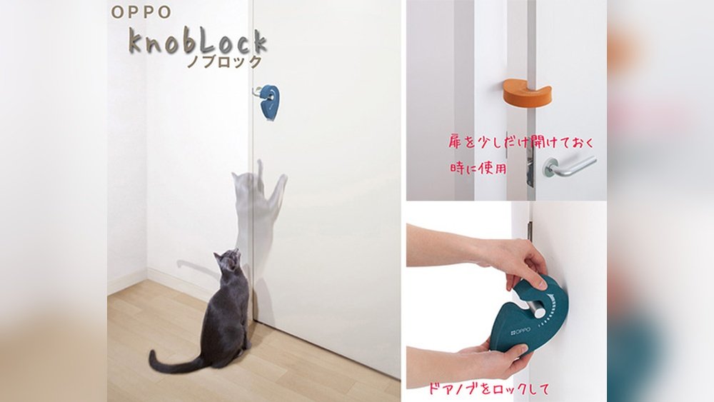 How to Stop a Cat from Opening Doors