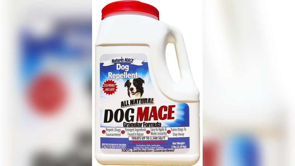 How to Stop a Dog from Pooping in My Yard