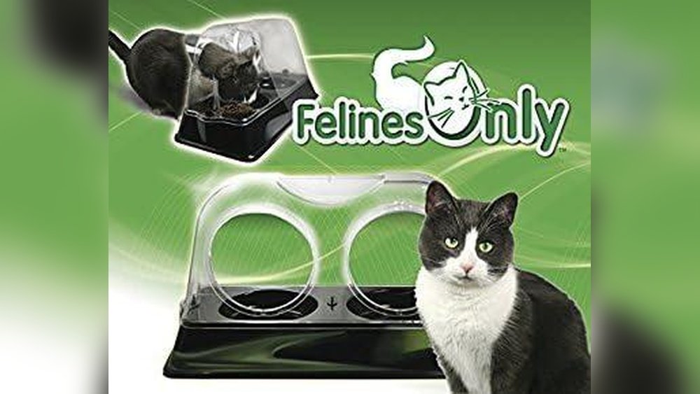 How to Stop the Dog from Eating Cat Food