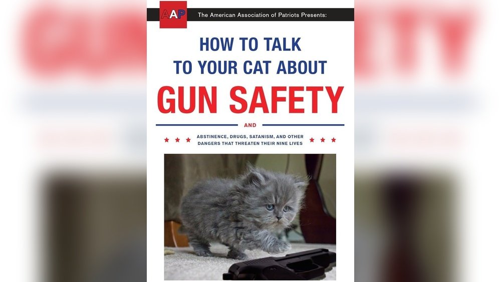 How to Talk Your Cat About Gun Safety