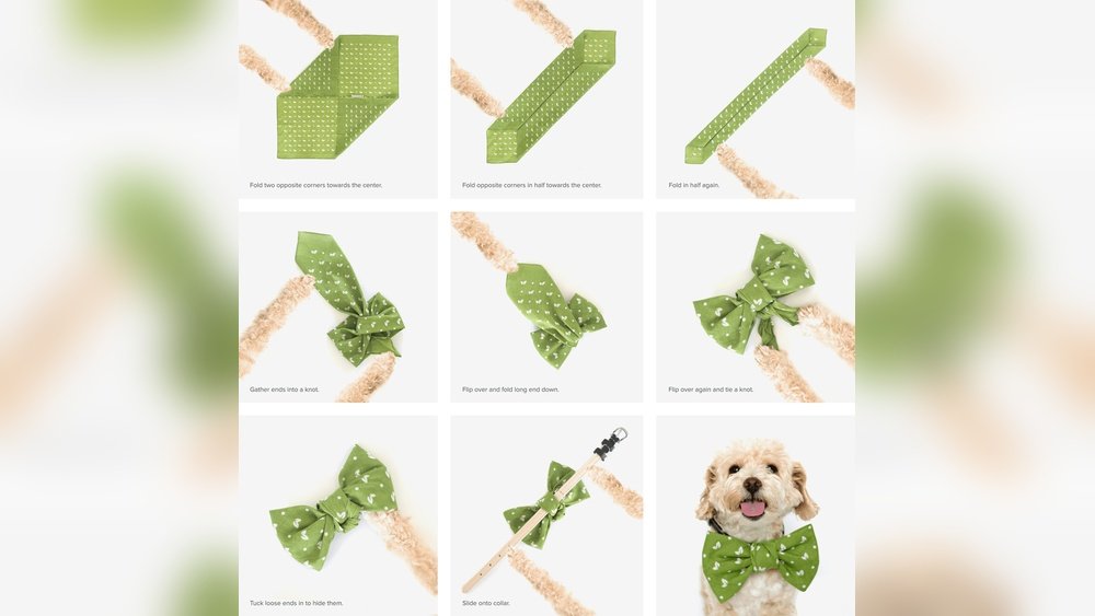 How to Tie Bandana on Dog