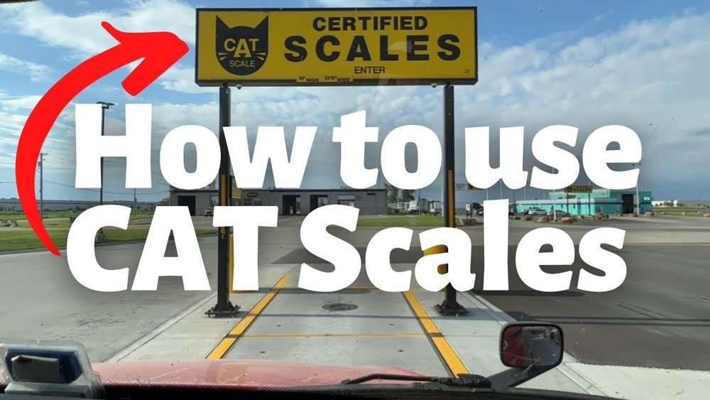 How to Use a Cat Scale