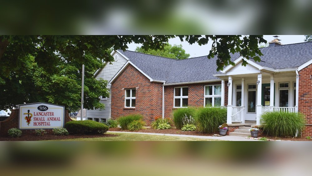 Lancaster Small Animal Hospital Bowmansville Ny