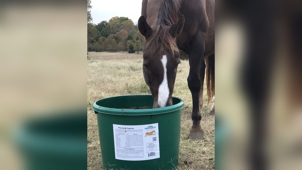 Lick Tubs for Horses