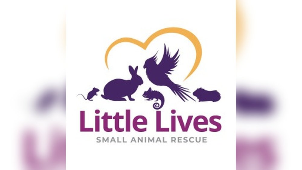 Little Lives Small Animal Rescue