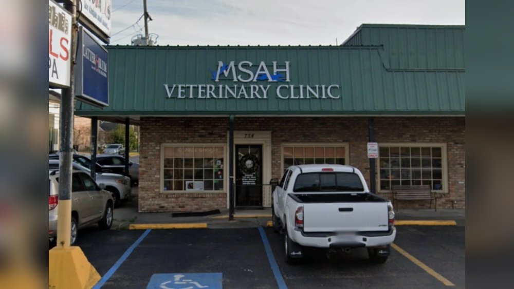 Metairie Small Animal Hospital Lakeview Clinic
