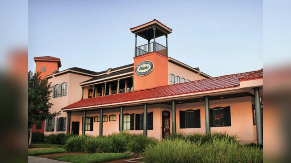 Metairie Small Animal Hospital on Metairie Road