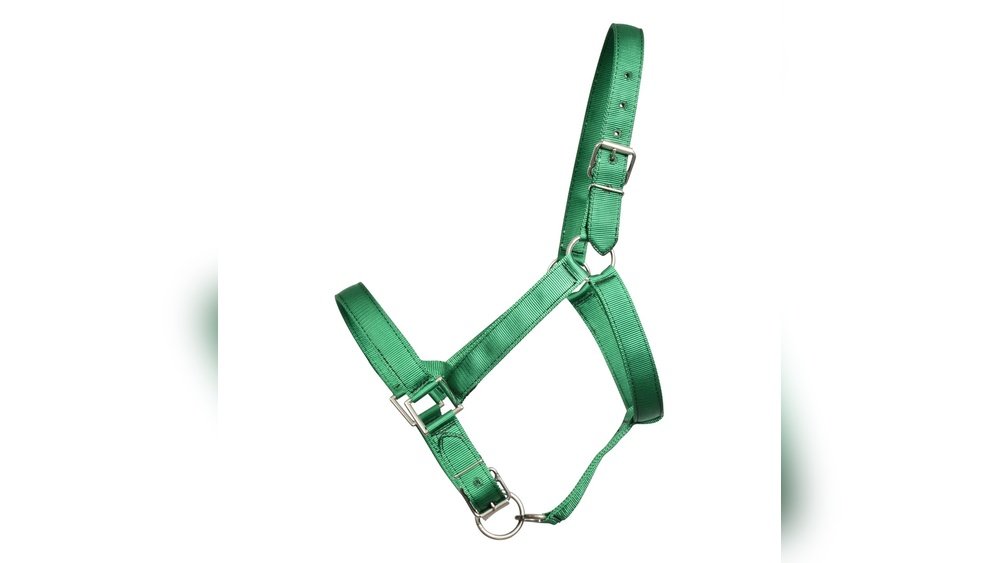 Nylon Horse Halters