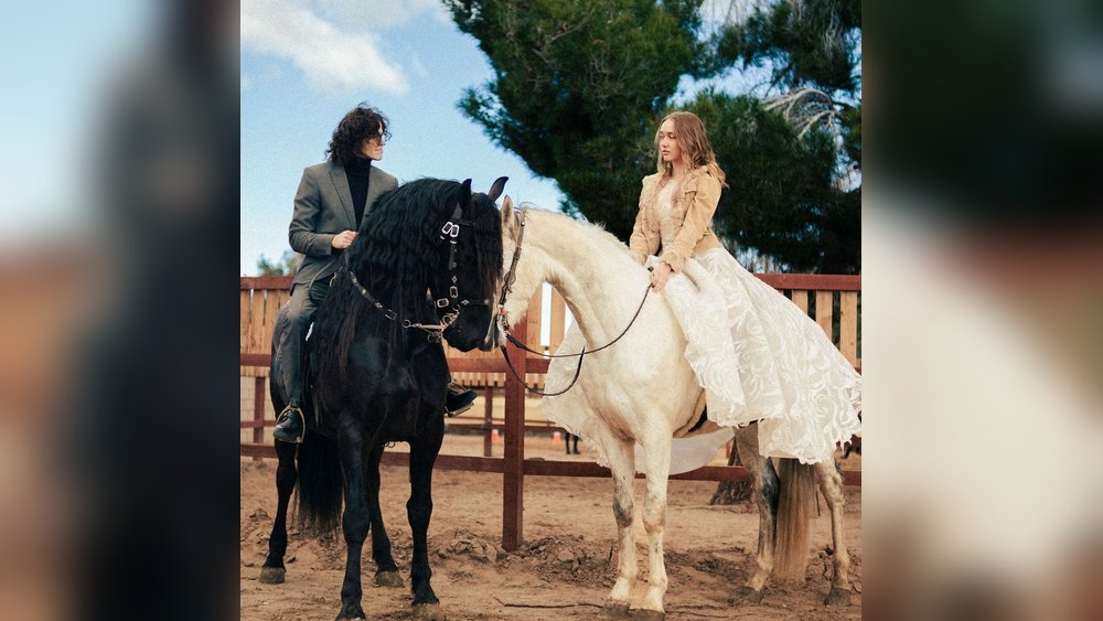 Photoshoot With Horses