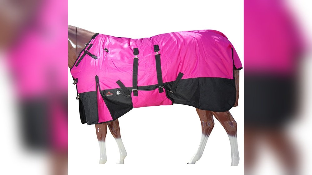 Pink Horse Blanket