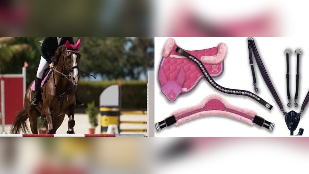 Pink Horse Tack