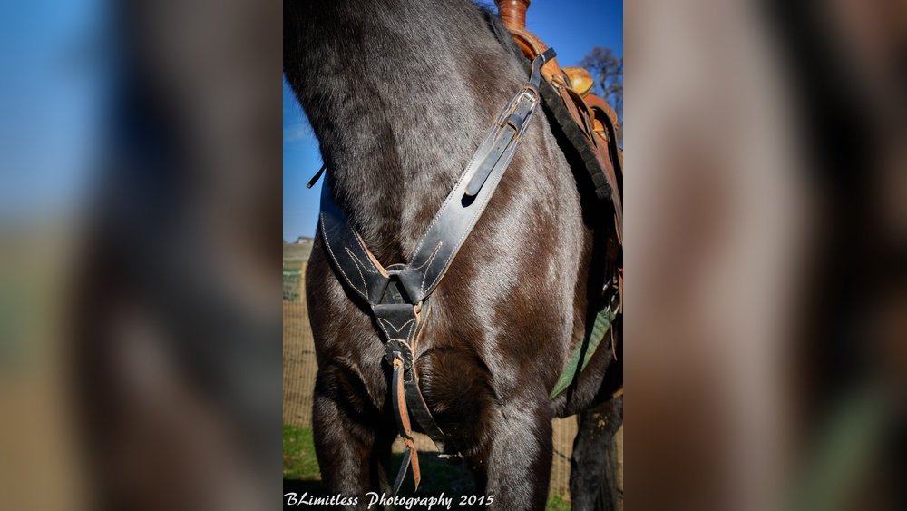 Pulling Breast Collar for Horses