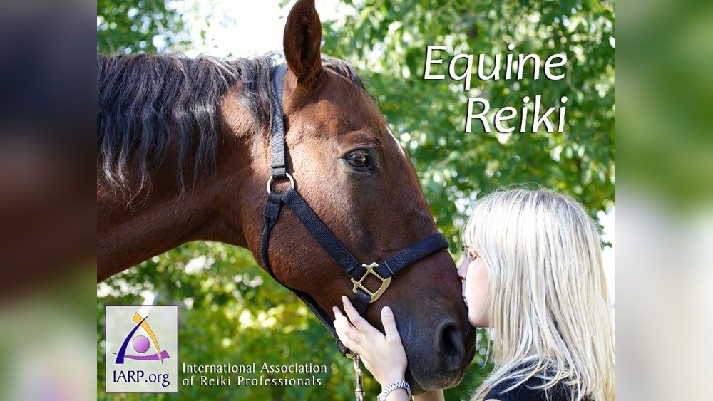 Reiki for Horses